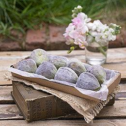 史低优惠！《金垦小镇》亮相Steam秋季特卖 